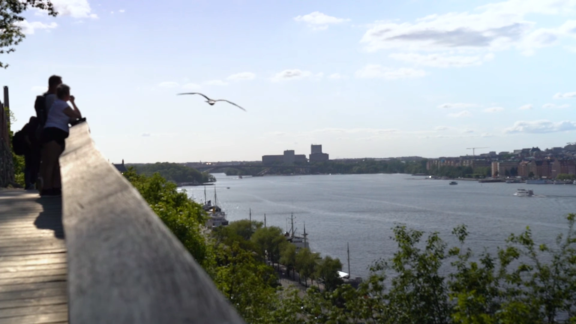 Stockholm Things to Do — The Ultimate Guide (Local-Style) 12 Monteliusvägen