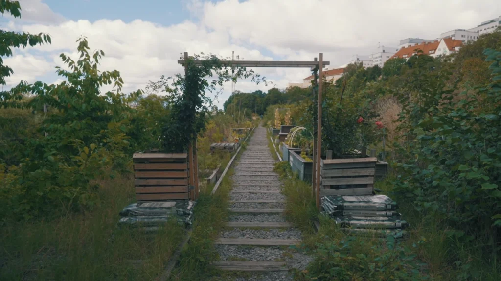 Stockholm Things to Do — The Ultimate Guide (Local-Style) 26 saveroworld.com