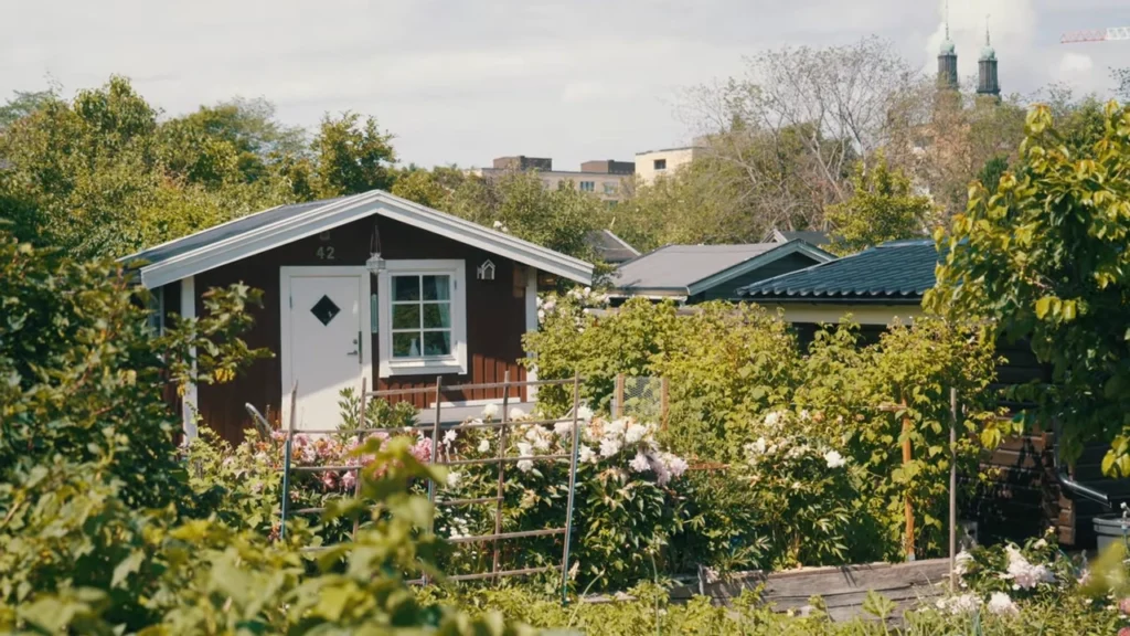 Stockholm Things to Do — The Ultimate Guide (Local-Style) 24 saveroworld.com